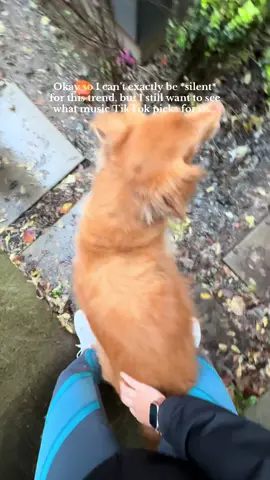 Okay didn’t see that coming! 😂 #dogsoftiktok #trending 