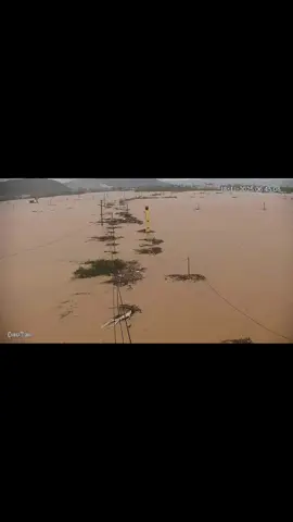 có ai nghĩ đây là hình ảnh của 1 thành phố không. Quy Nhơn năm nay hết tâm bão lớn rồi h mưa lớn ngập lụt nặng. Nhà phố mà nước lên cả mét và còn dâng nữa, thấy thương thiệt sự 😢 #lulutmientrung #quynhon #binhdinh #muanuoclu