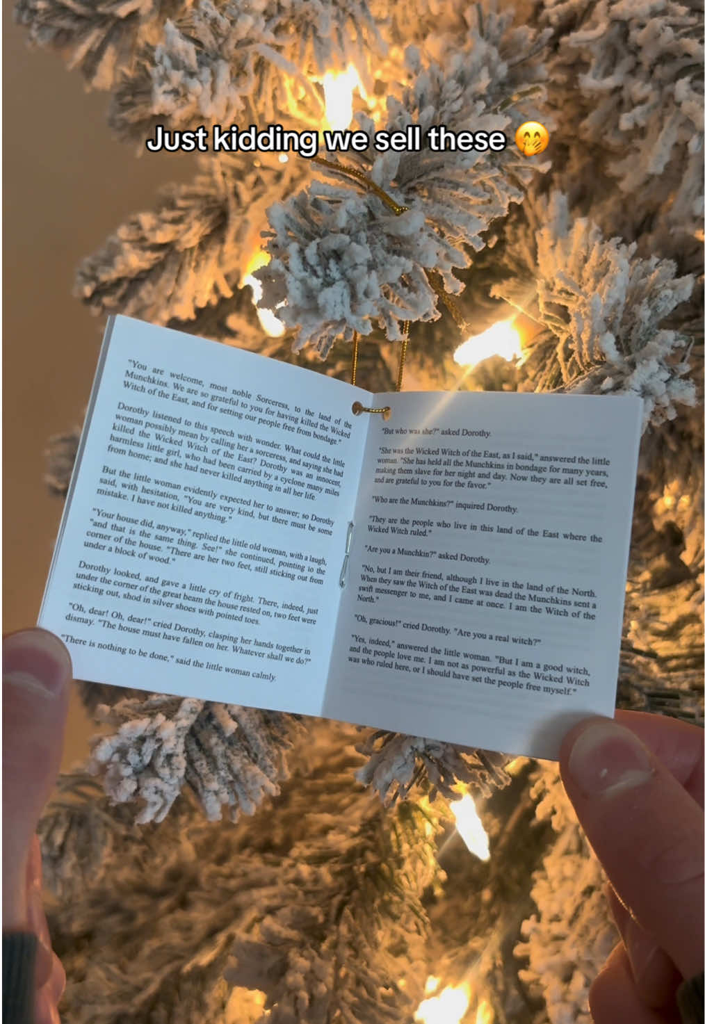 Just kidding we sell these 🤭 #BookTok #barnesandnoble #adventcalendar 