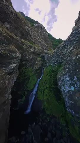 #سعود_الفايز 