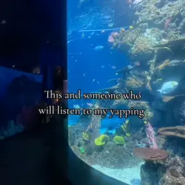 #museum #aquarium #nerd #dino #shark 