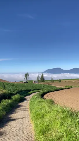 Kapan terakhir kali kamu ke sini? 