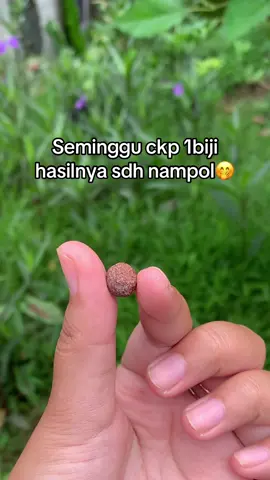 nampol banget cobain🥰🥰 #perawatanwanita 