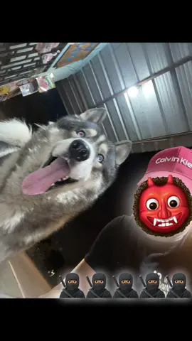 #paratii #xybca #🥷🏽✍🏾