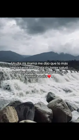 🧑‍🧒❤️ #teamomadre #silvestredangond #fyp #madre #viral 