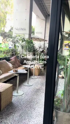 Cafetería para arquitectos @Agave en Miraflores con temática paisajista y diseñado por arquitectos para arquitectos #arquiluisangel #luisangel #viral #construccion #cafeteria