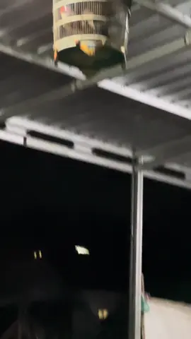 Semua ada masanya🤗 #herex300cc #glkudasembrani #ffa #gl #xzyabc 