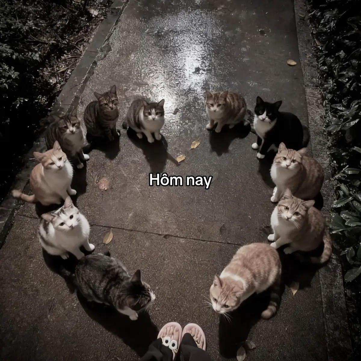 #sadstory #viral #tinhyeu #tam_trang_buon #pheoverthinking 