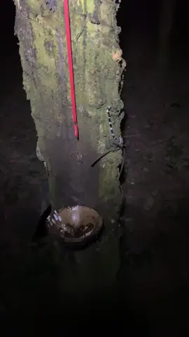 #giảitritiktok #congvieccuatoi 