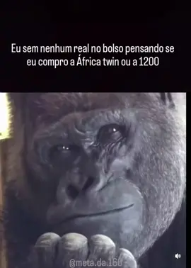 #africatwin #1200 #meme #moto #fyy 