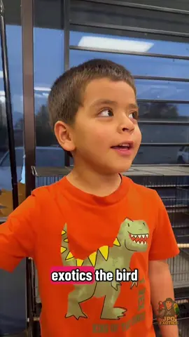 JPQ Exotics Jr going around our shop showing you guys our birds ! #jpqexotics #fyp #209 #california #viral 