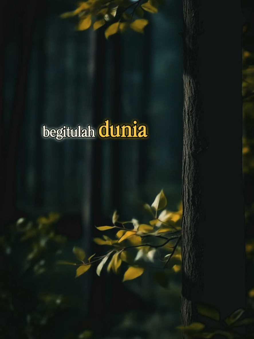 Jangan terbedaya cahaya semu #bismillahfyp #selfreminder #quotesislam #november #indonesia 