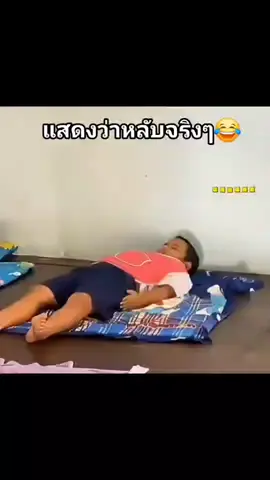 #หลับจริง #ขอบคุณคลิปต้นฉบับ #ลุงมัง #สติ 