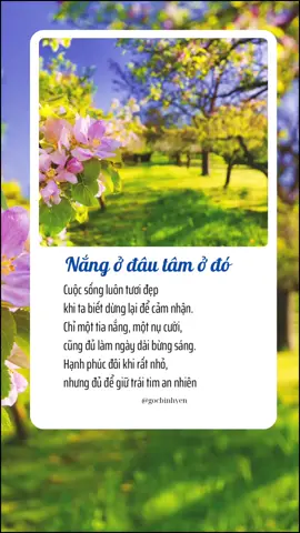Nắng ở đâu tâm ở đó #tamtrang #chualanh #foryou #binhyen #xuhuong #hanhphuc 