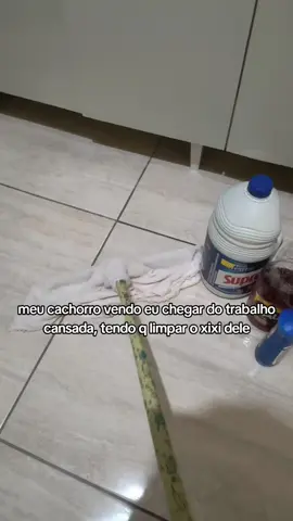 #maedepet🐾  #shitzu  #fyppppppppppppppppppppppp 