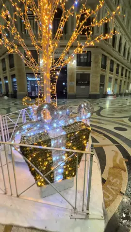Finalmente a Napoli si accendono le luci di Natale!! Tutto partirà da Piazza Municipio alle ore 18:00. Ricordo che oltre alle luci, dall'& al 21 dicembre ci sarà il villaggio di Babbo Natale gratuito in Piazza del Plebiscito! Se vuoi viverlo anche tu, salva questo video per non dimenticartelo e condividilo con chi vuoi portare con te. #vurriasape #napoli #napolicultura #napoliecampania #nataleanapoli