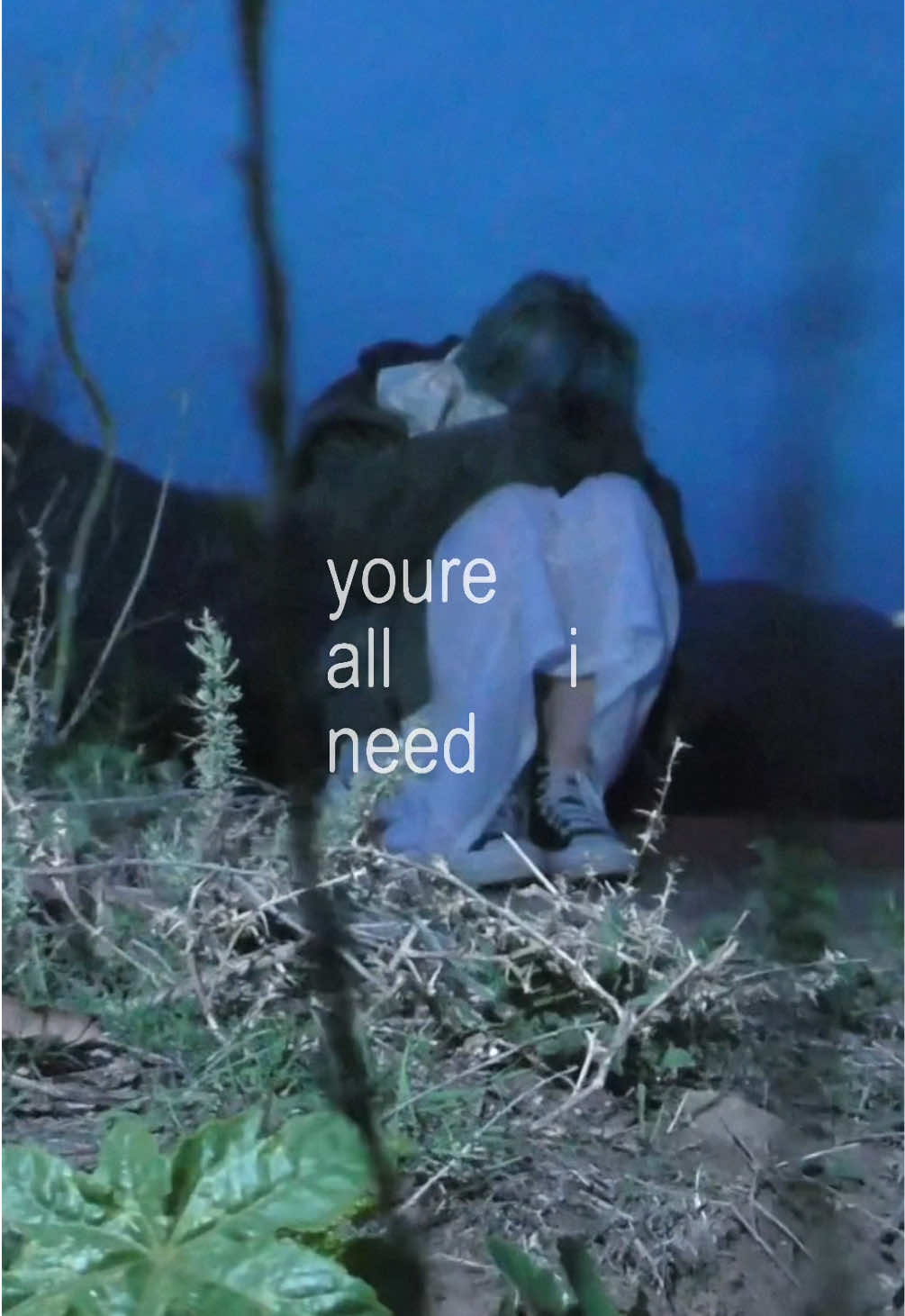 you’re all I need.. #wisp #fyp #wispcore #shoegaze #bratlyrics 