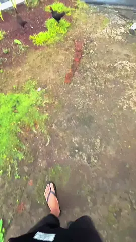 udu sembarang wong😁#purwokerto #cilacappride #ngapak #banyumas24jam 