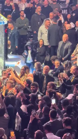 @Hasbulla at #ufc322 #hasbulla #madisonsquaregarden #nyc #DoubleChamp