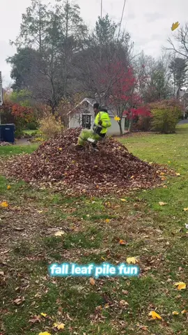 Fall leaf pile fun.#pile #leaf #autumn #funnymoments 