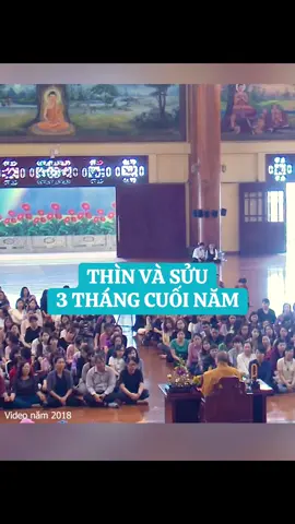 THÌN VÀ SỬU 3 tháng cuối năm#tuoisuu #tuoithin #12congiap #tuvi12congiap #phongthuytamlinh 