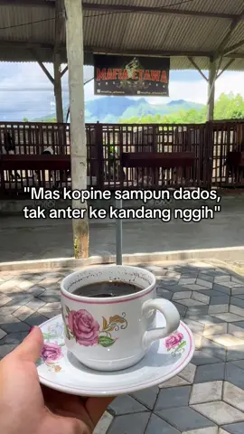 kopine pait nopo manis mas#bandaretawa #kambingjrabang #kambingseni #kambingpe #kambing 