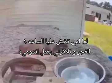 هموت#😂😂😂 