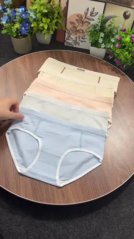 Combo 5 quần chip cotton mềm mại #quanchip #thoitrangnu #dolot #quanchipsieure #xuhuong 