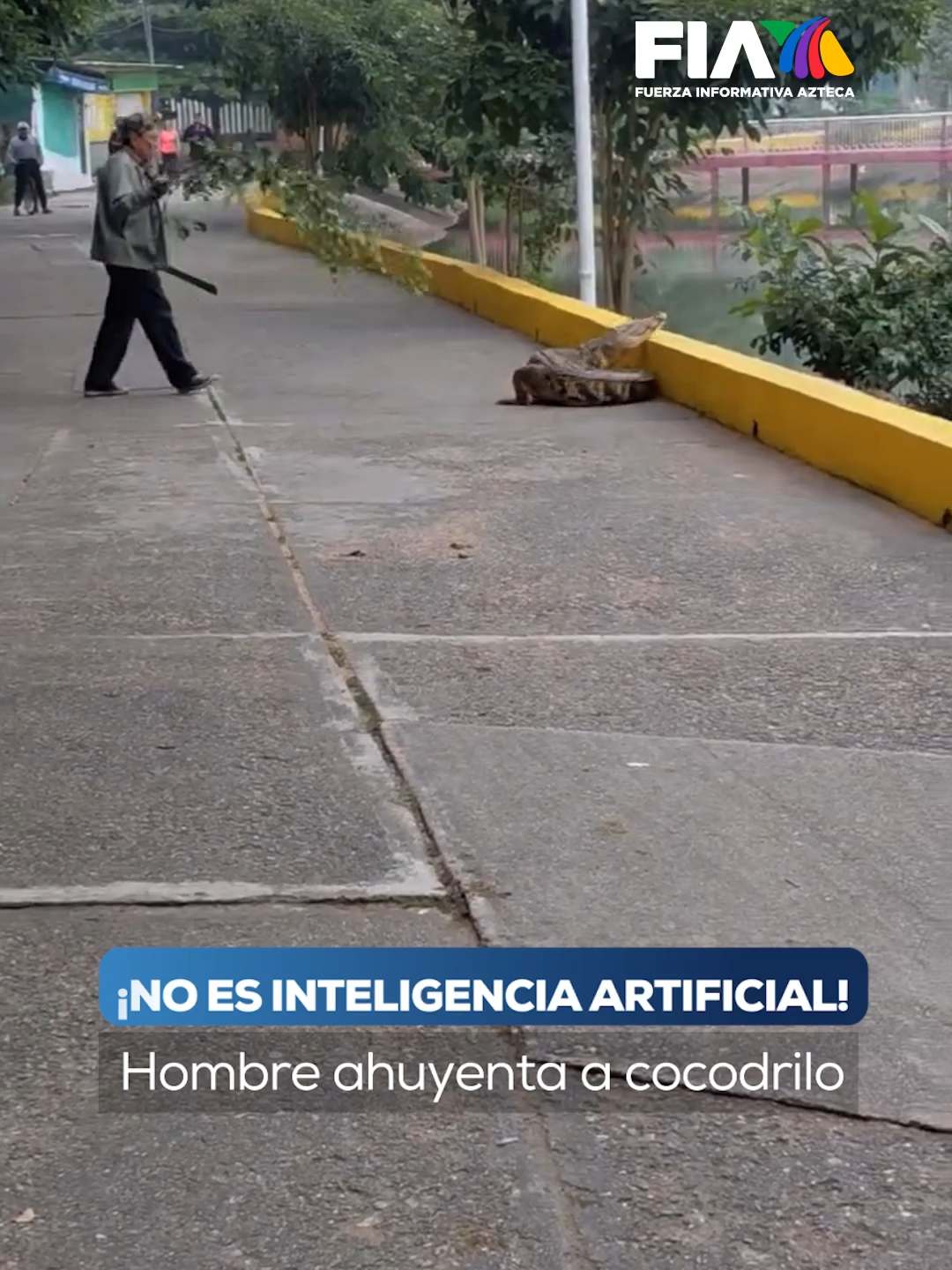 El que tenga miedo a morir que no nazca... Y no, no es Inteligencia Artificial. En redes sociales se ha hecho viral el momento en el que un hombre, armado con un machete y una rama, ahuyenta a un cocodrilo en calles de Ciudad Isla, en Veracruz. Este hecho ha generado una infinidad de reacciones. #AztecaNoticias #Noticias #Informacion #LoUltimo #UltimasNoticias #Viral #ParaTi #FIA #Cocodrilo #Naturaleza #IA #Veracruz #Mexico #TikTokInforma #LoDescubriEnTikTok #TikTokMeHizoVer