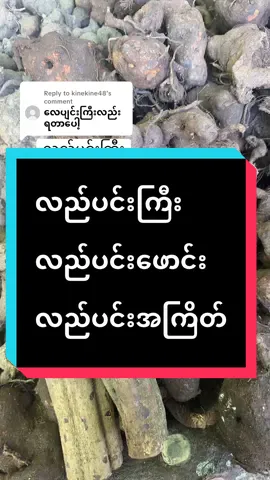 Replying to @kinekine48 #နှစ်တစ်ရာမြန်မာ့တိုင်းရင်းဆေးမြစ်စုံပင်ရင်း #foryou #fbyツ #လည်ပင်းကြီးရောဂါ 
