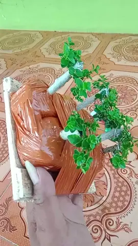 otw situbondo #sancangmini 