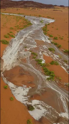 #امطار #الشملي_حائل #هشتاقاتي_الترند_المشهور #مقتطفات #الشتاء 