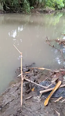 #mancingnilem #banyuwangi 