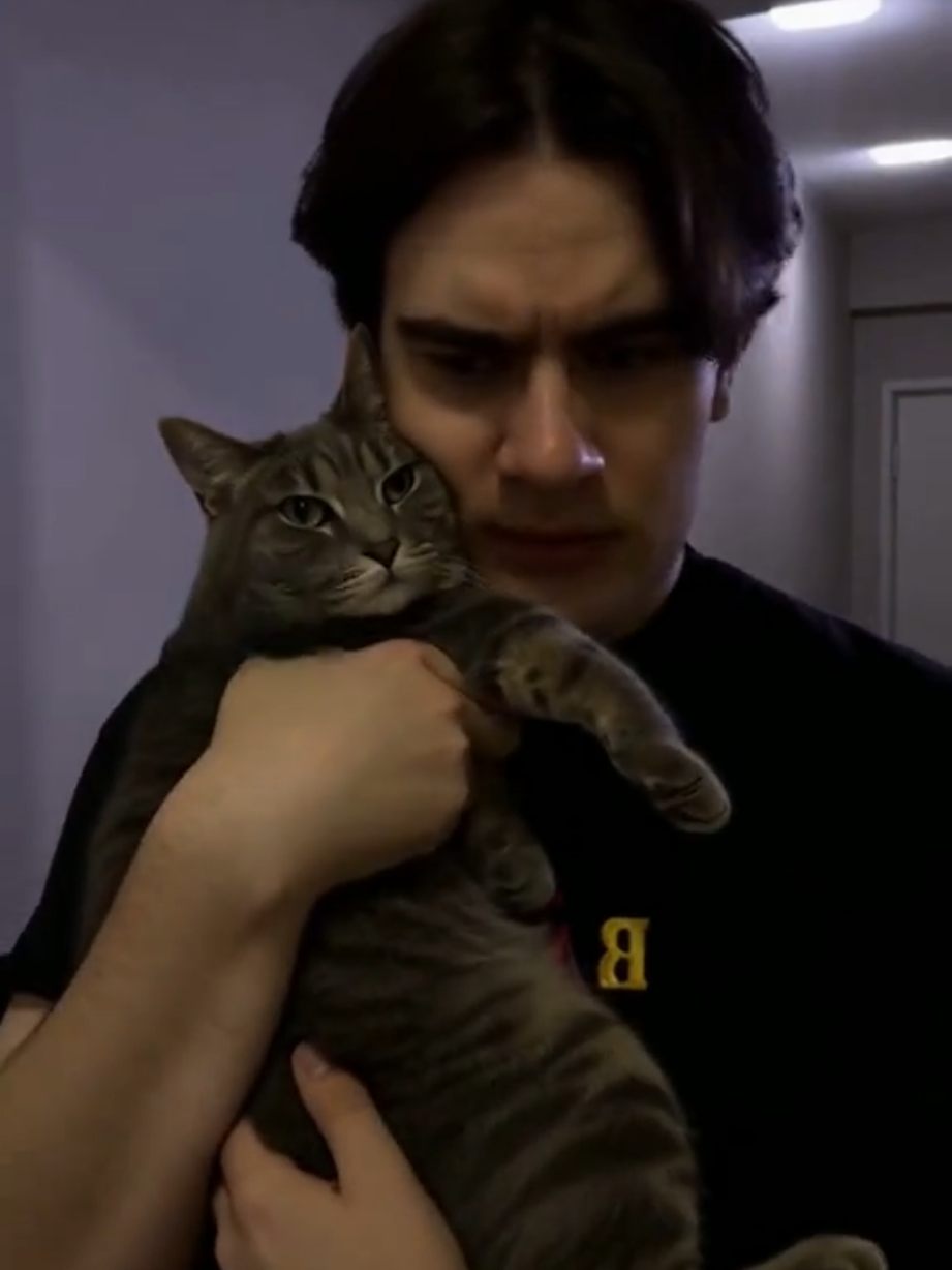 Братишкин - Заказал игрушку #кот #братишкин #яндекс #доставка #cats 