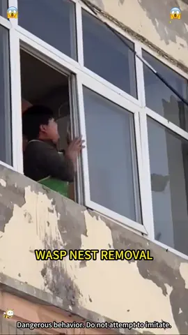 wasp nest removal#SummerLooks#BehindTheSong#dontleaveme#dadsoftiktok#usa🇺🇸  