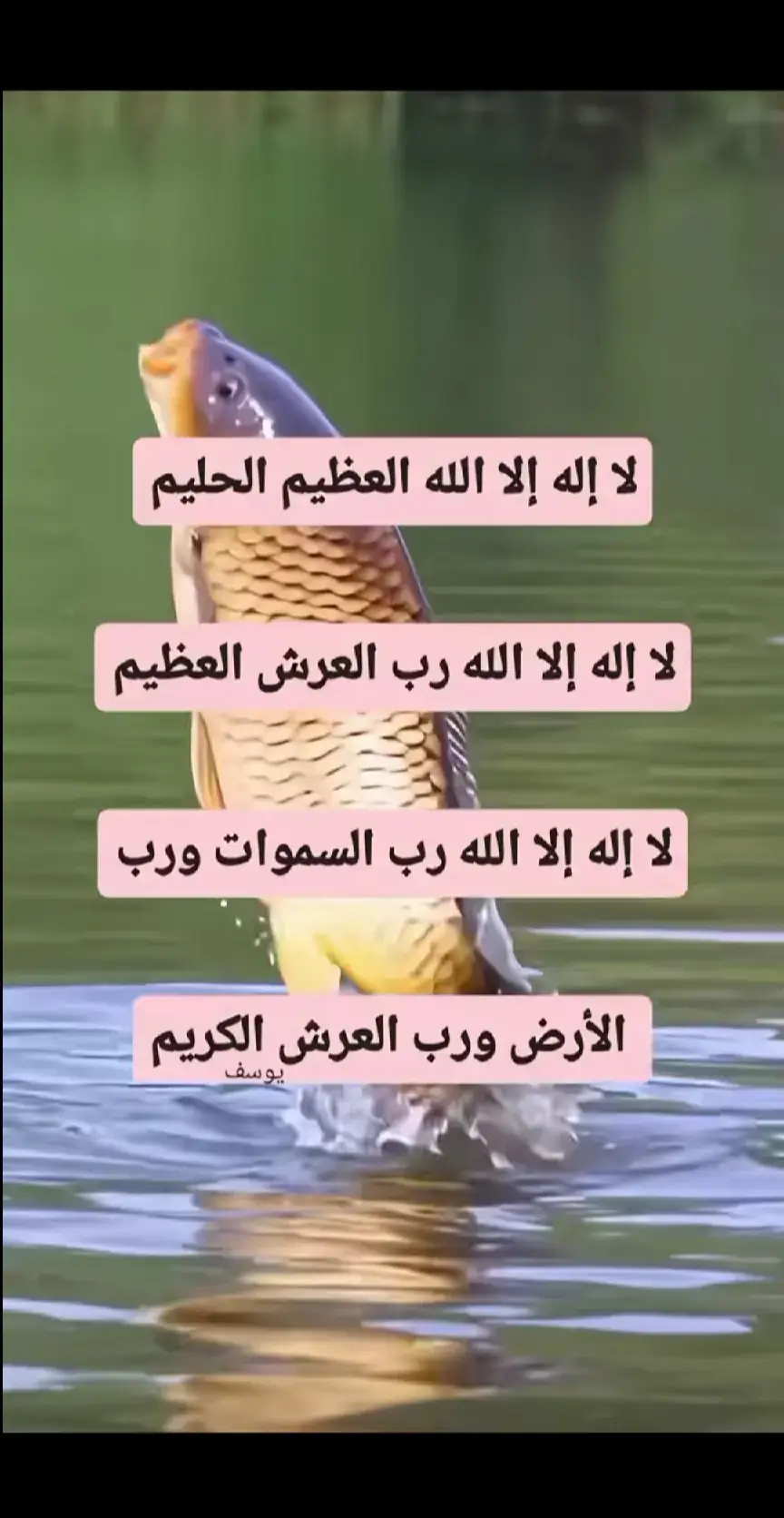 #🤲🤲🤲🕌🕌🕌🕋🕋।। 