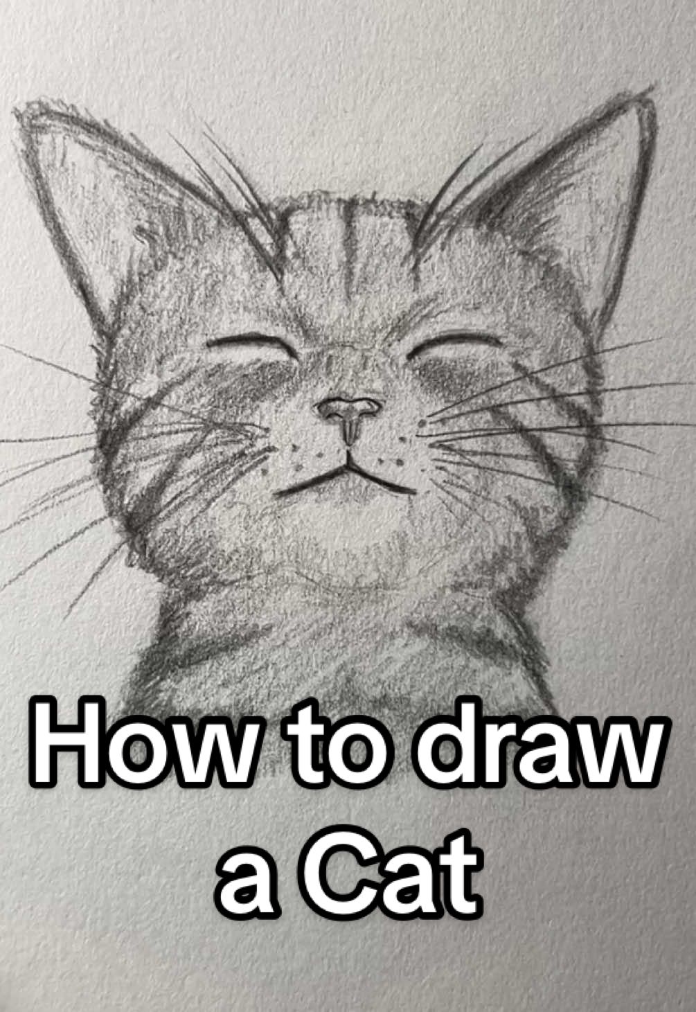 How to draw a Cat! Easy! What should I draw next? #art #drawing #cat #cute #meowmeow  how to draw a cat easy art drawing tutorial