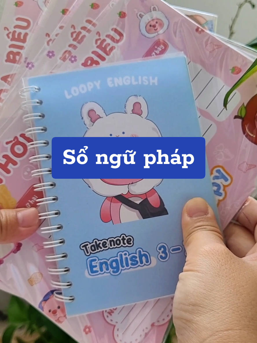 Quyển sổ Ngữ Pháp tiếng anh nhỏ gọn giúp mọi người dễ dàng đạt thành tích học Tiếng anh Tốt #hoahamhoc #takenoteenglish #sotaynguphaptienganh 