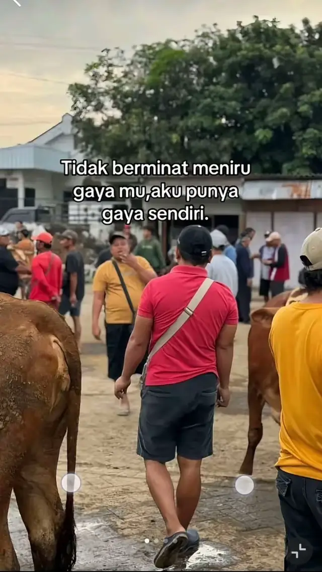 tidak meniru gayamu, syukuri apa yang kau punya#petaniindonesia🇮🇩🇮🇩🇮🇩🌿🌿 #fyp #petanimuda 