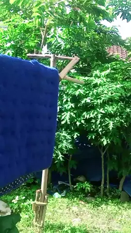 pagi pagi udah di bikin salting.  . 