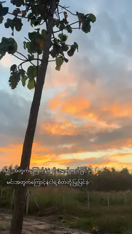 ပြုပြင်နေဆဲ🗣️#officialzack #moots? #fyp #foryoupage #view 