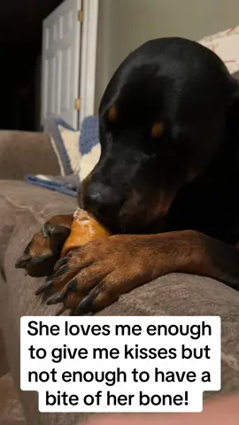 Life with a Rottie… Loves me enough to give kisses but not enough to share her bone! #dog #dogs #dogsoftiktok #rottweiler #rottie 