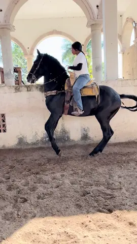 🖤 #caballos #mujeresacaballo #viralvideo #caballosbailadores🍀🐴🍎 