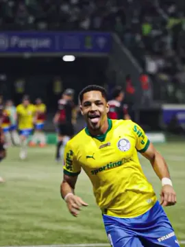 HOJE TEM PALMEIRAS 💚💚 #foryoupage #palmeiras #hojetem #vitoria #brasileirao 