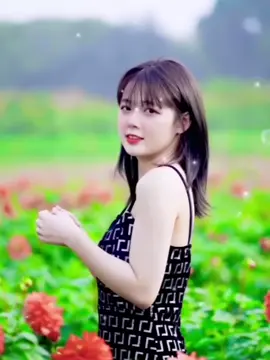 Nhạc hay mỗi ngày...#70tayninh 