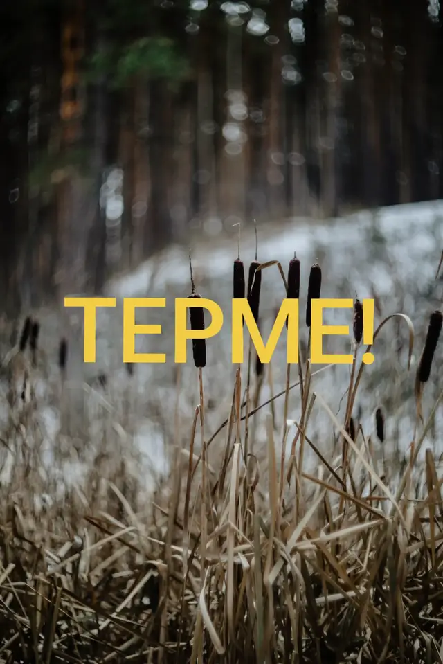 #Не жаман Не жақсы Әбірбек Тінәлі #рек#