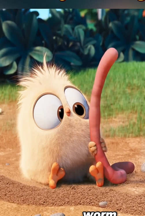 A little bird found a worm hiding under the soil.#fyp #foryou #funnyvideos #cartoon #usa 