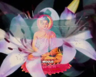 This is the way love is the only truth #buddhism #buddha #viral #fypage #fyp 