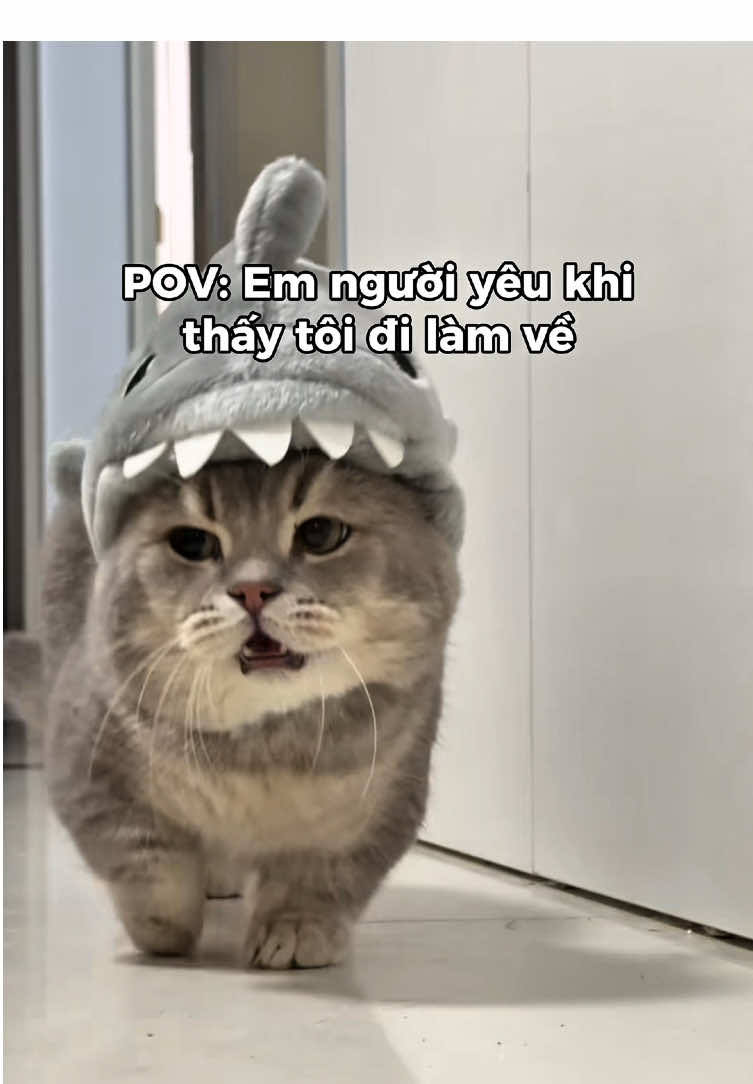 Ta nói ẻm dễ thương dữ luôn á 🥰 @cái em dễ thương đó zô đây đi #relatable #xuhuongtiktok #tiktokgiaitri #fyp #cat 