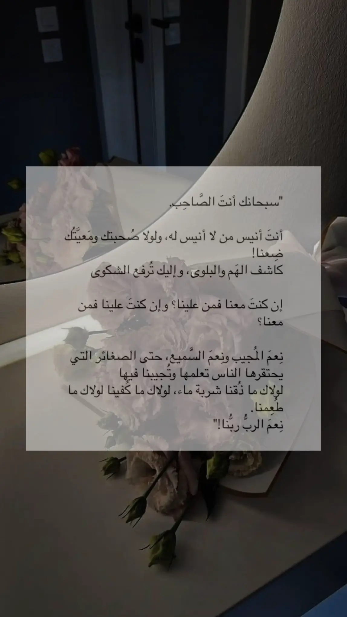 #capcut #catsoftiktok 